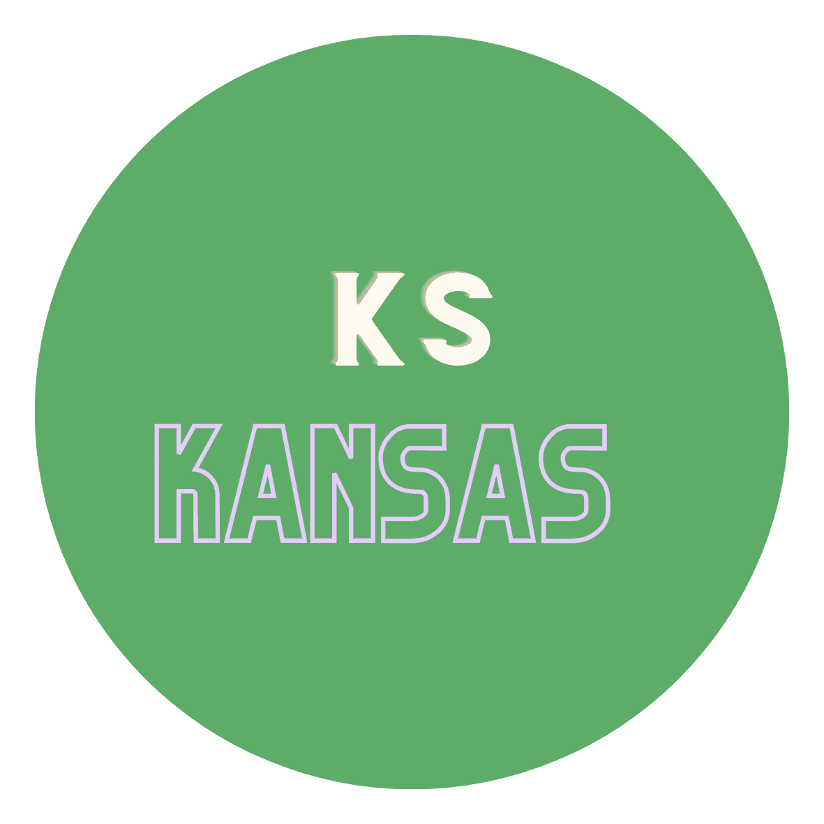 Kansas Turtle Laws: A Clear and Knowledgeable Explanation