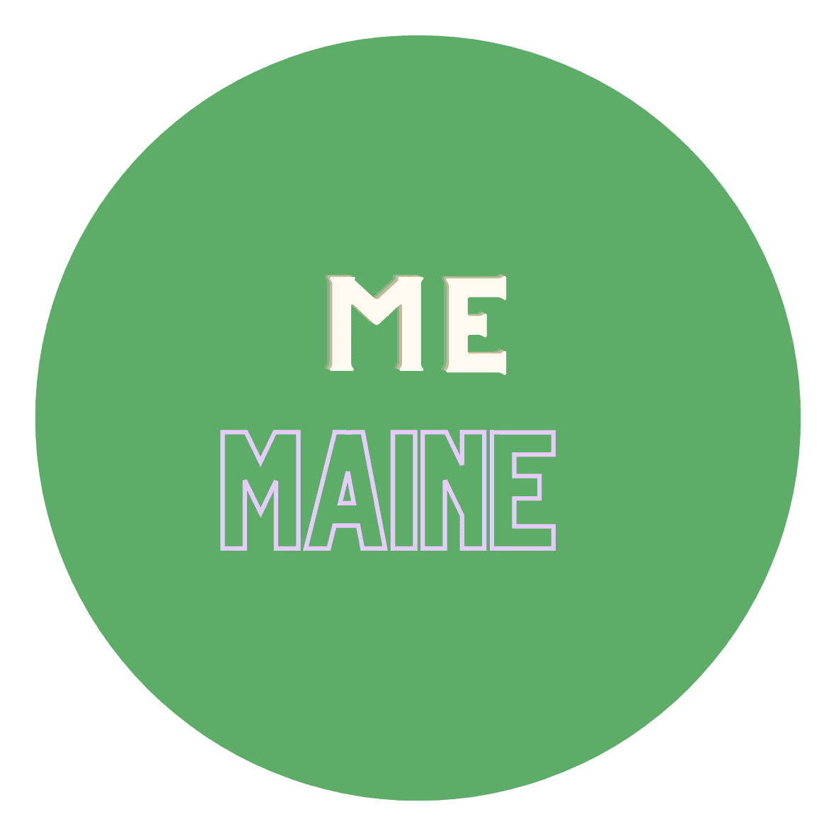 Maine Turtle Laws Explained: Understanding the Regulations for Keeping