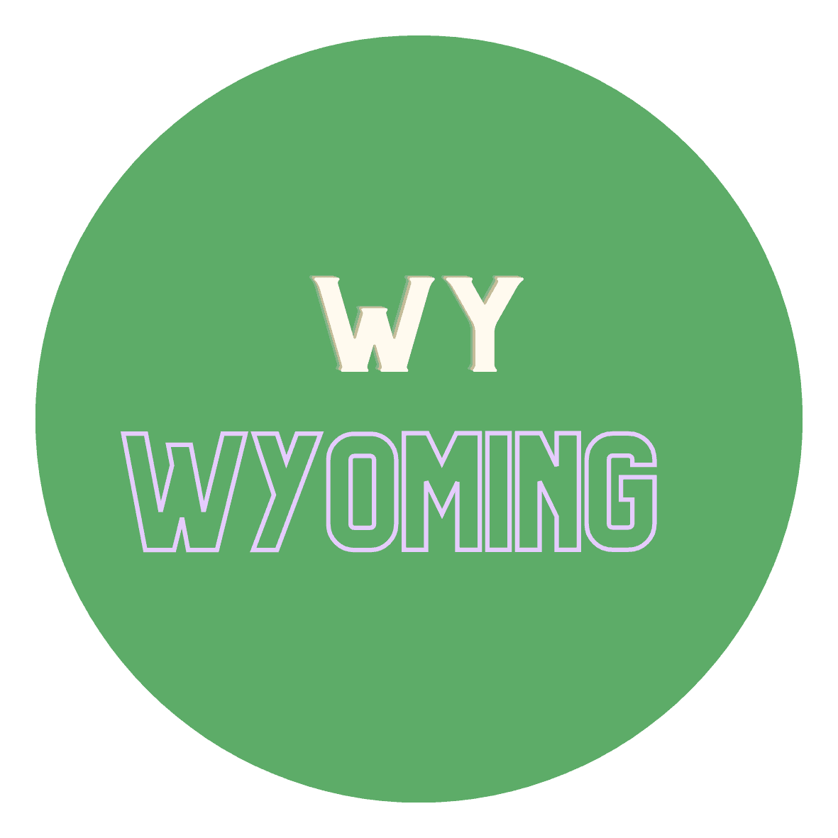 Wyoming Turtle Laws Explained: Understanding the Regulations for Keeping Turtles as Pets in Wyoming